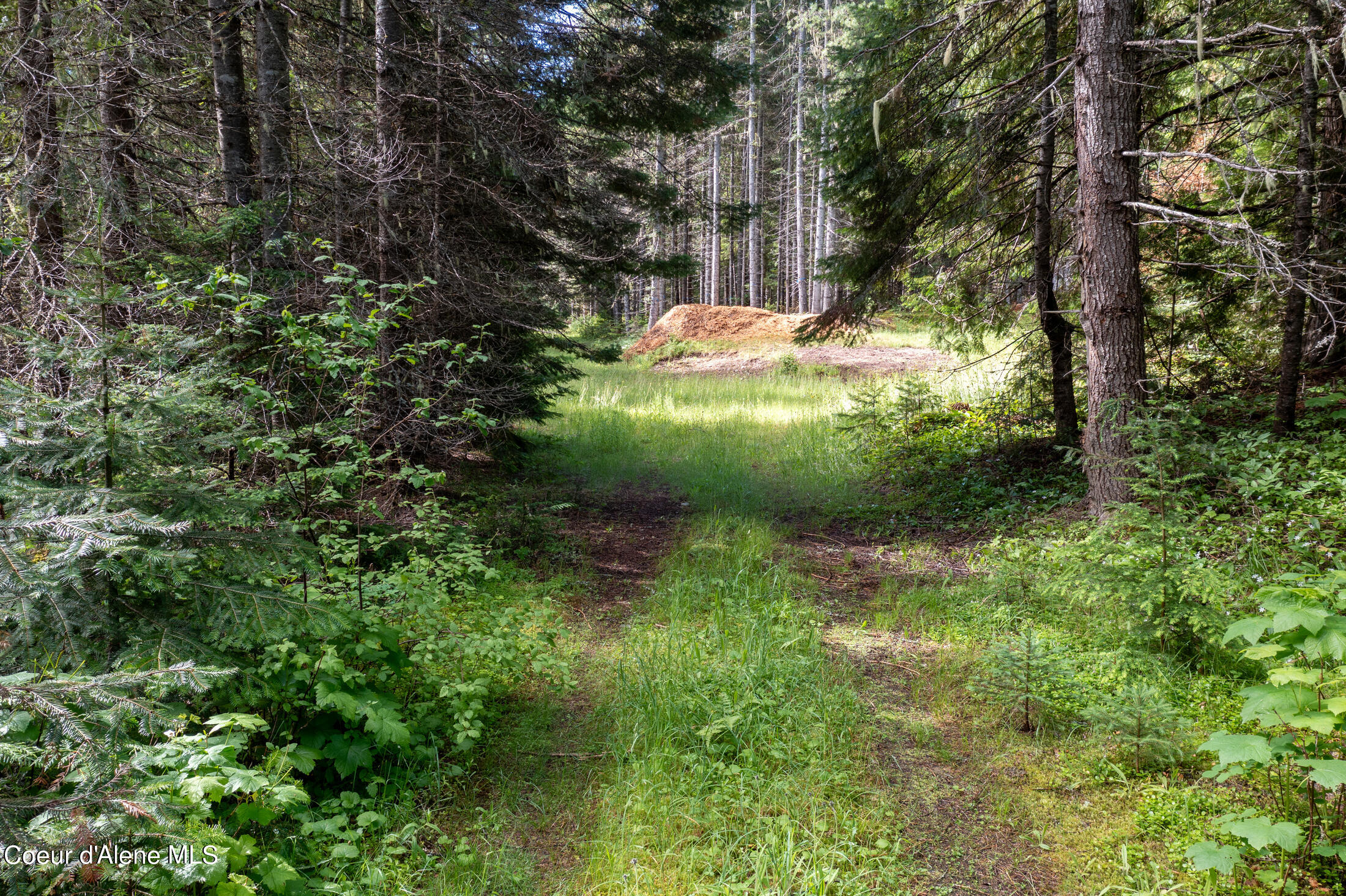 Nna Beaver Creek Road Wallace, ID 83873 - Photo 10 of 57 DJI_0692-HDR-2