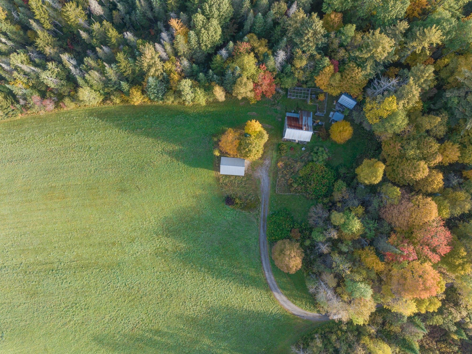 651 Summerhill Road Walden, VT 05843 - Photo 8 of 40