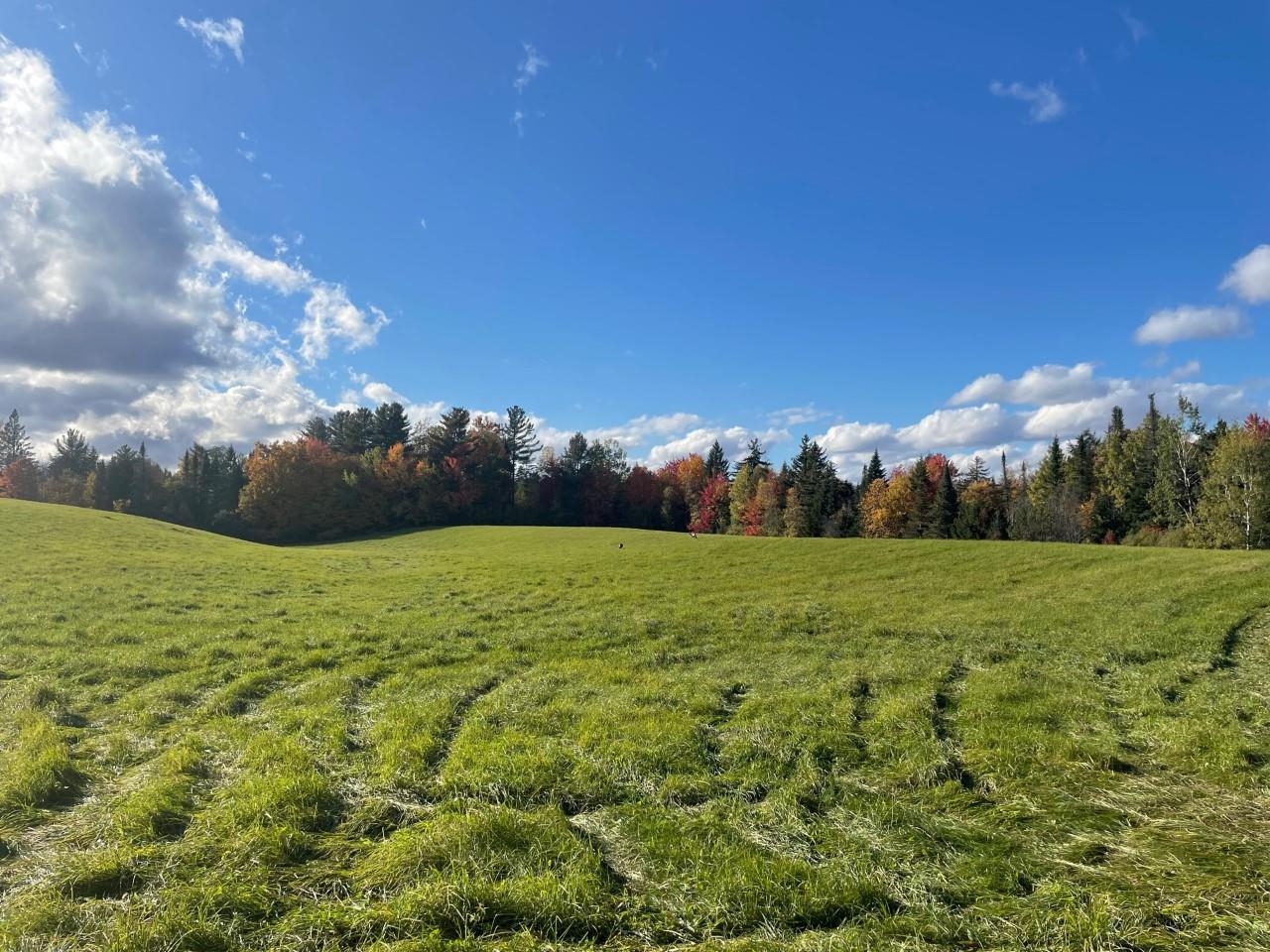 651 Summerhill Road Walden, VT 05843 - Photo 10 of 40