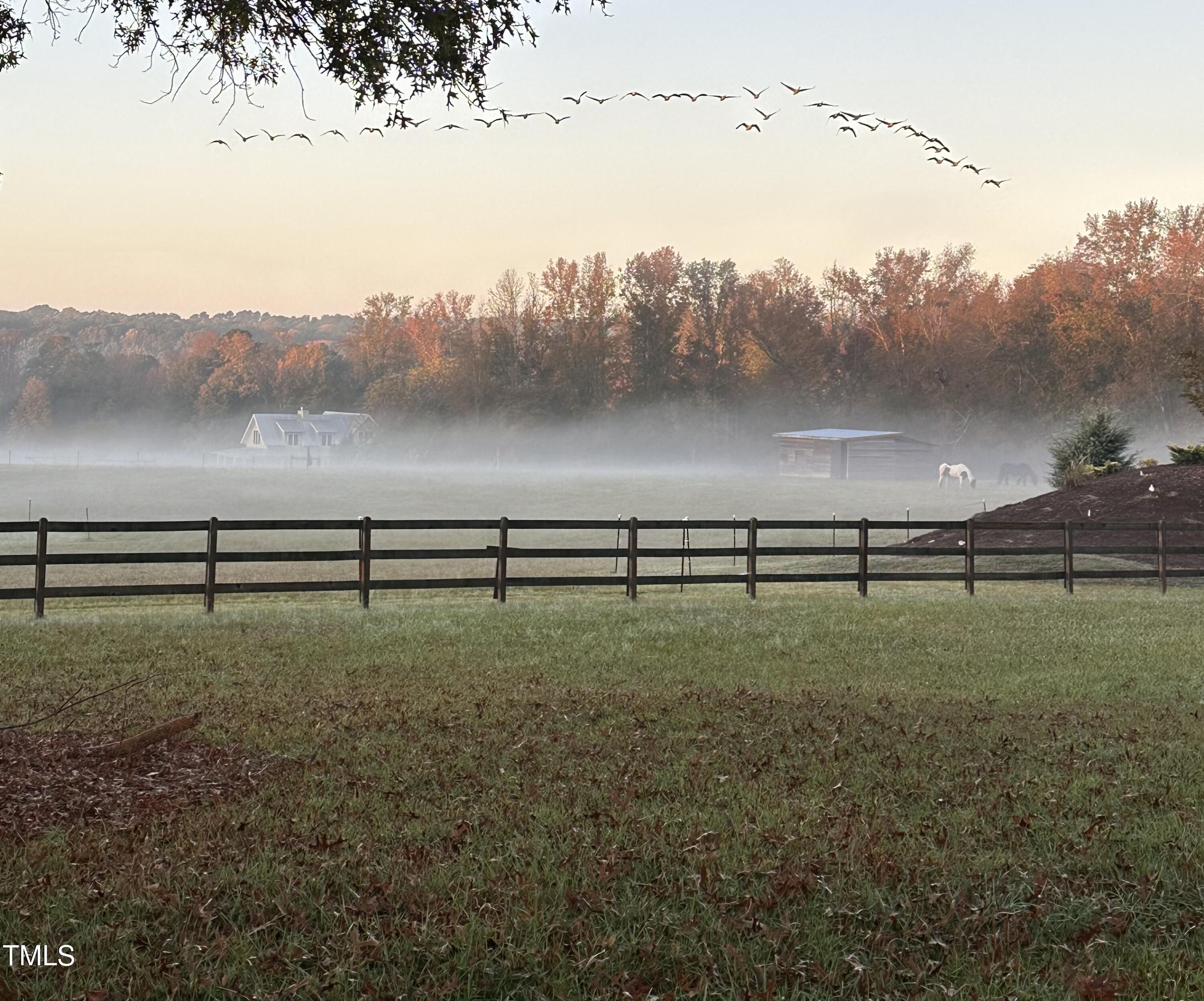 5212 Theys Road Raleigh, NC 27606 - Photo 51 of 56 a view of a yard