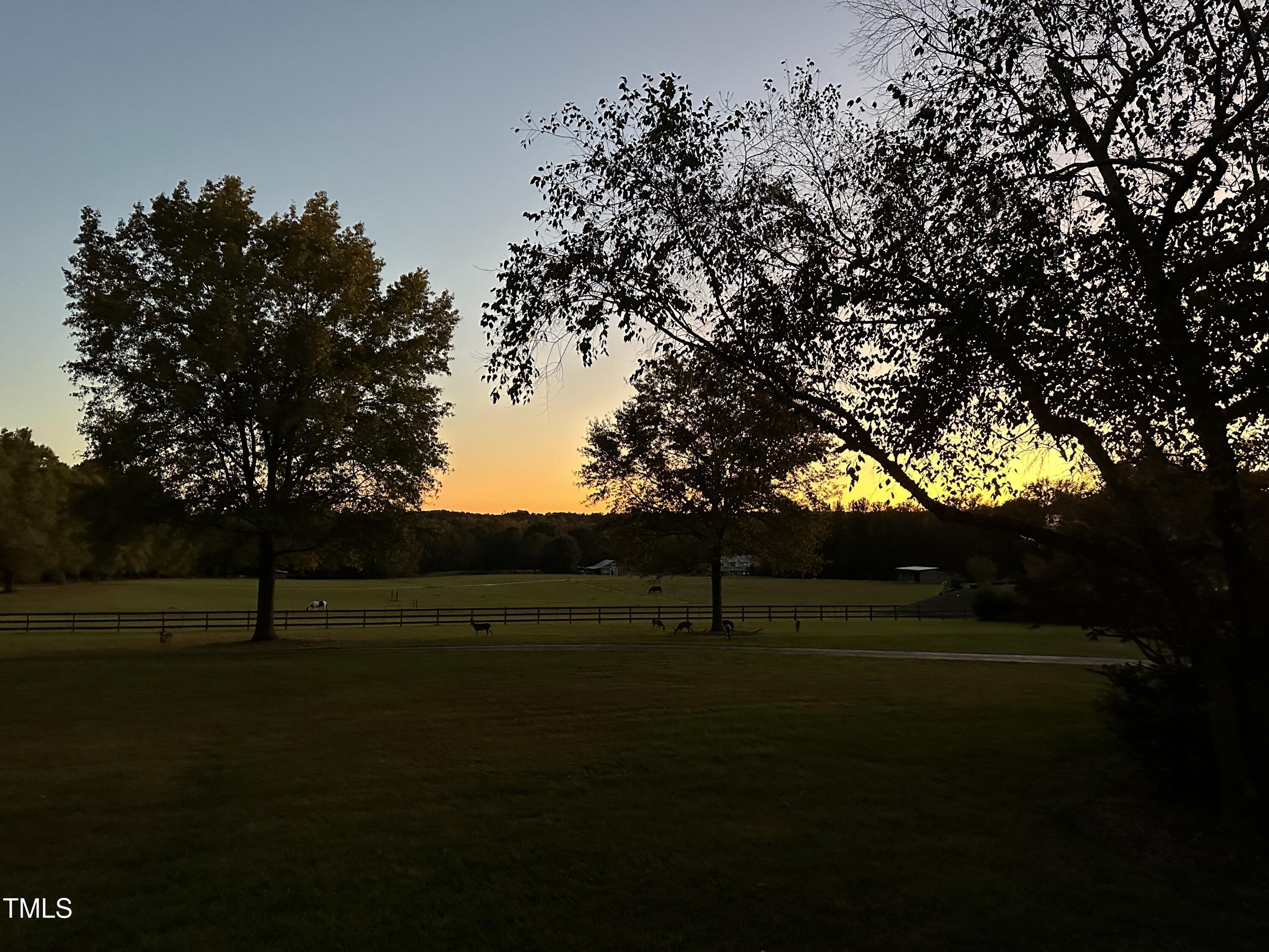 5212 Theys Road Raleigh, NC 27606 - Photo 52 of 56 a view of outdoor space with green field and trees