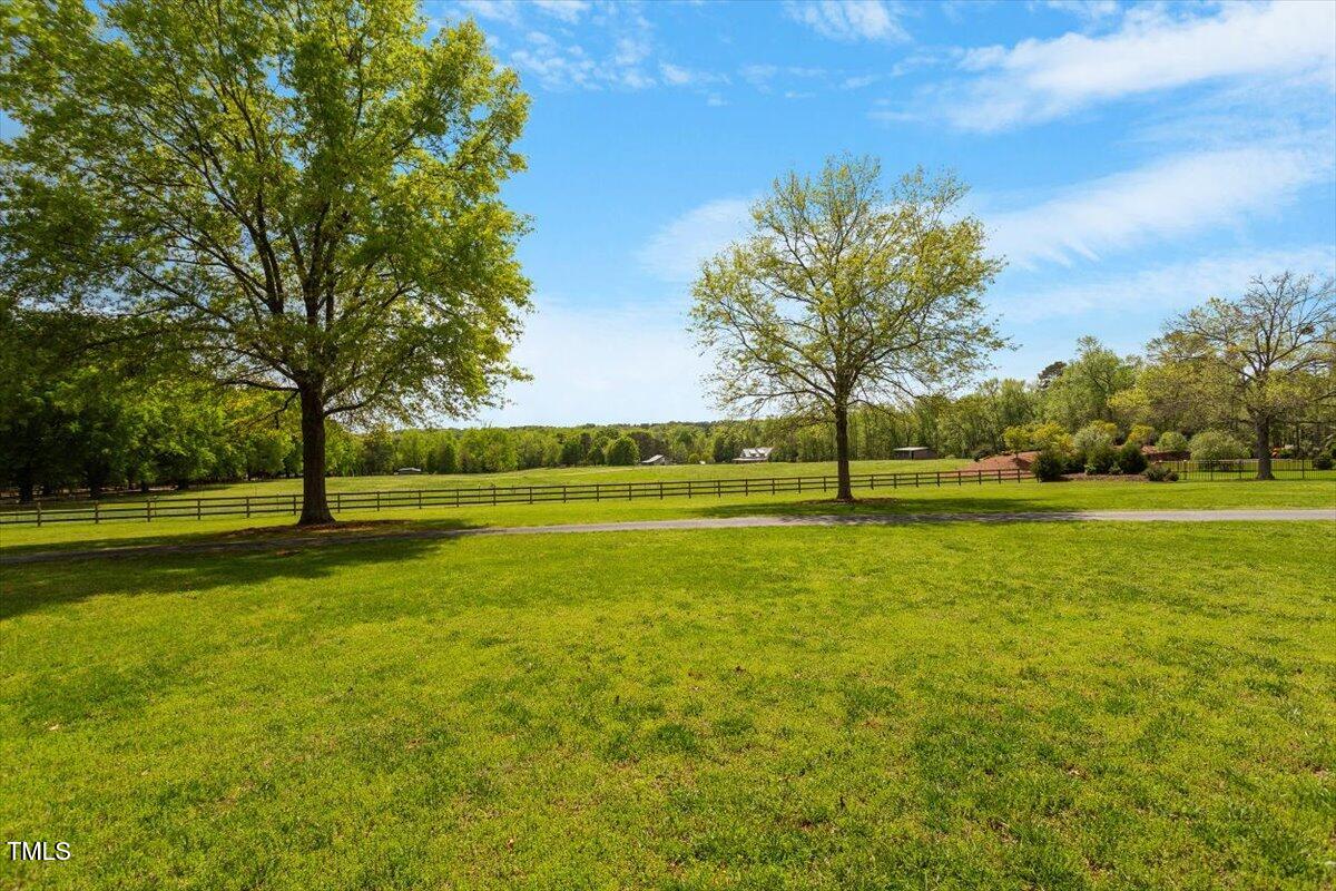 5212 Theys Road Raleigh, NC 27606 - Photo 8 of 56 a view of a garden with trees