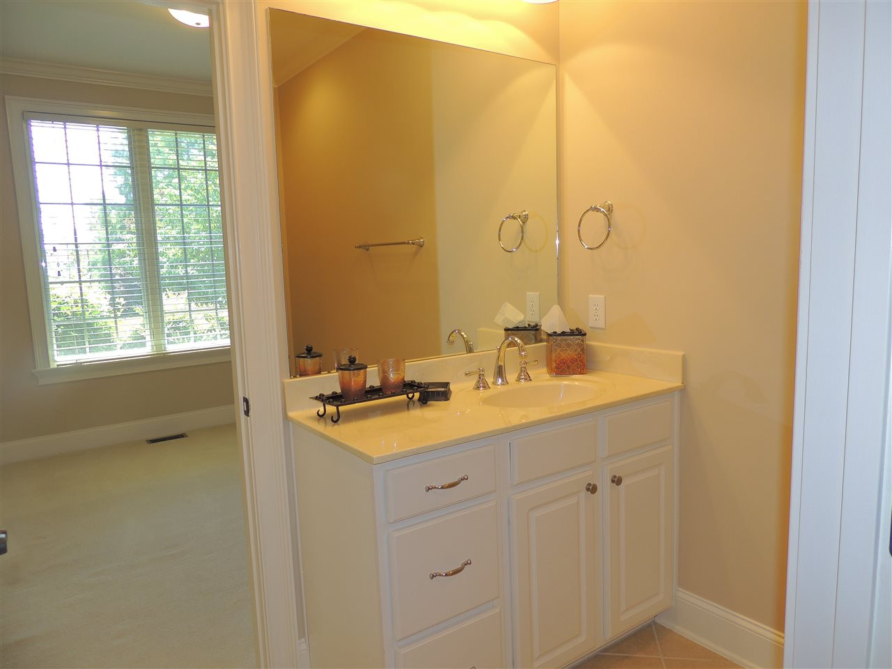 301 Cedar Ridge Way Durham, NC 27705 - Photo 20 of 25 Jack and Jill Bath