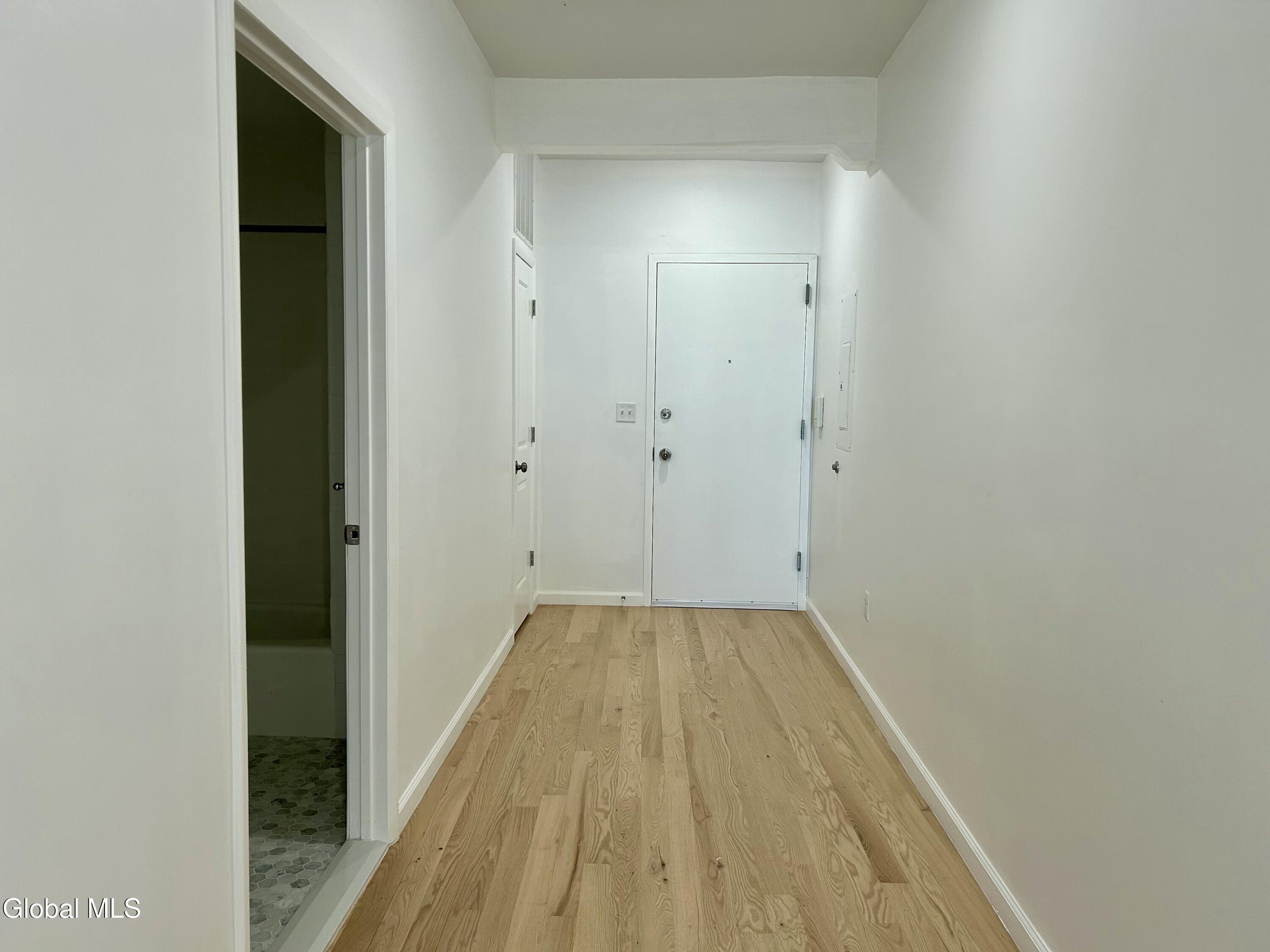 155 River Street, Unit 1B Troy, NY 12180 - Photo 3 of 16 1B Entry Hallway