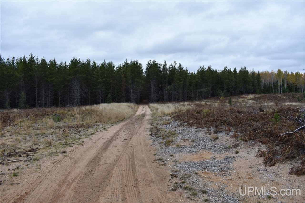 40-acres 40-acres Off Co Road Gwinn, MI 49841 - Photo 1 of 22