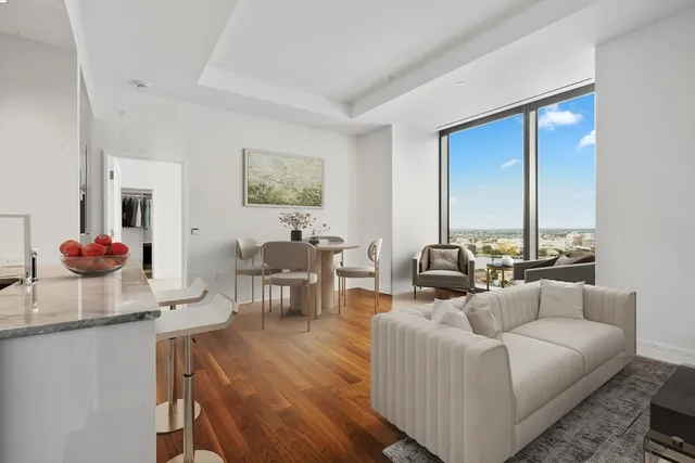 a living room with furniture potted plant and a large window