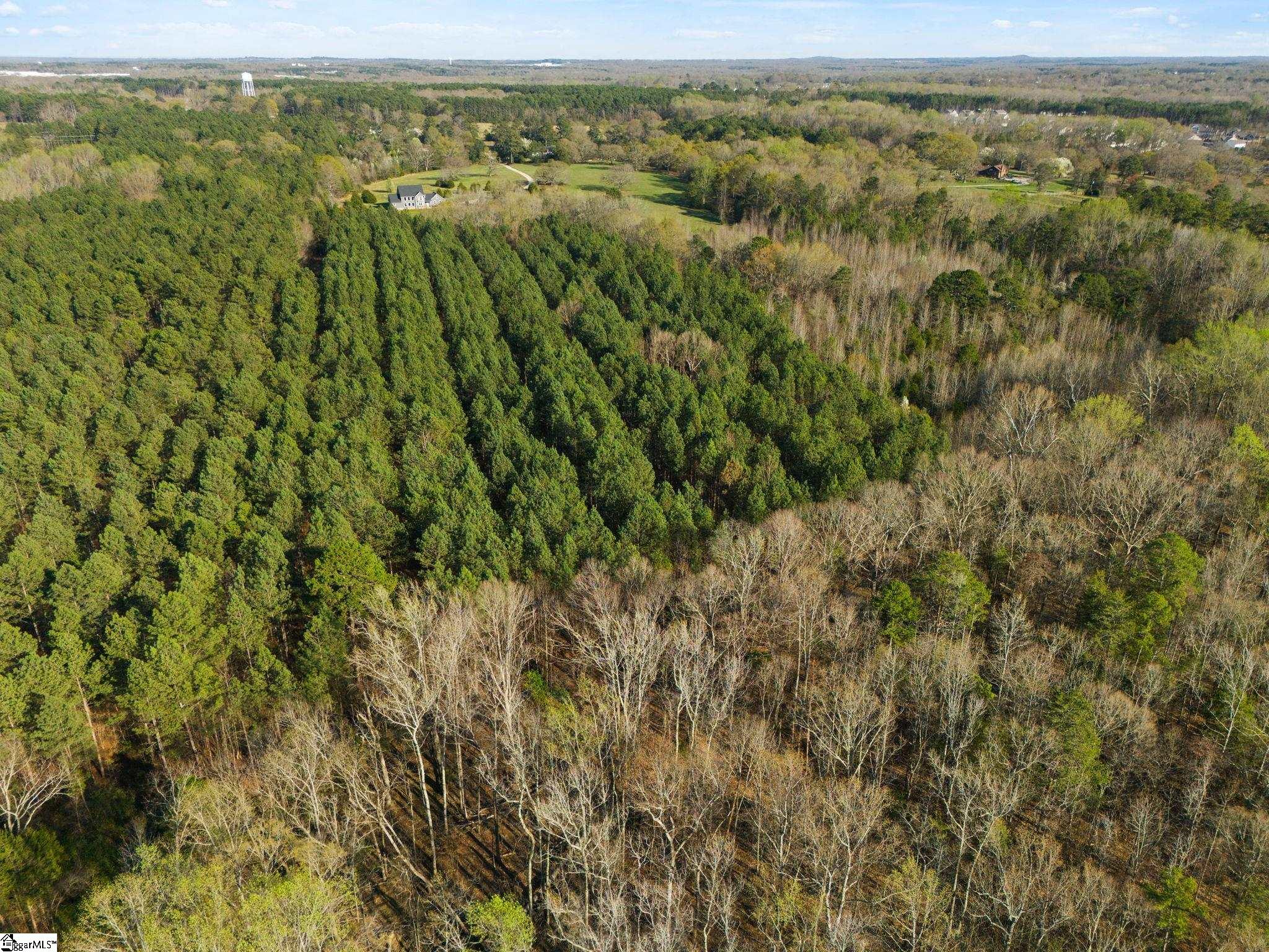 0 Tall Pines Road Fountain Inn, SC 29644 - Photo 11 of 16 Gallery Image 11