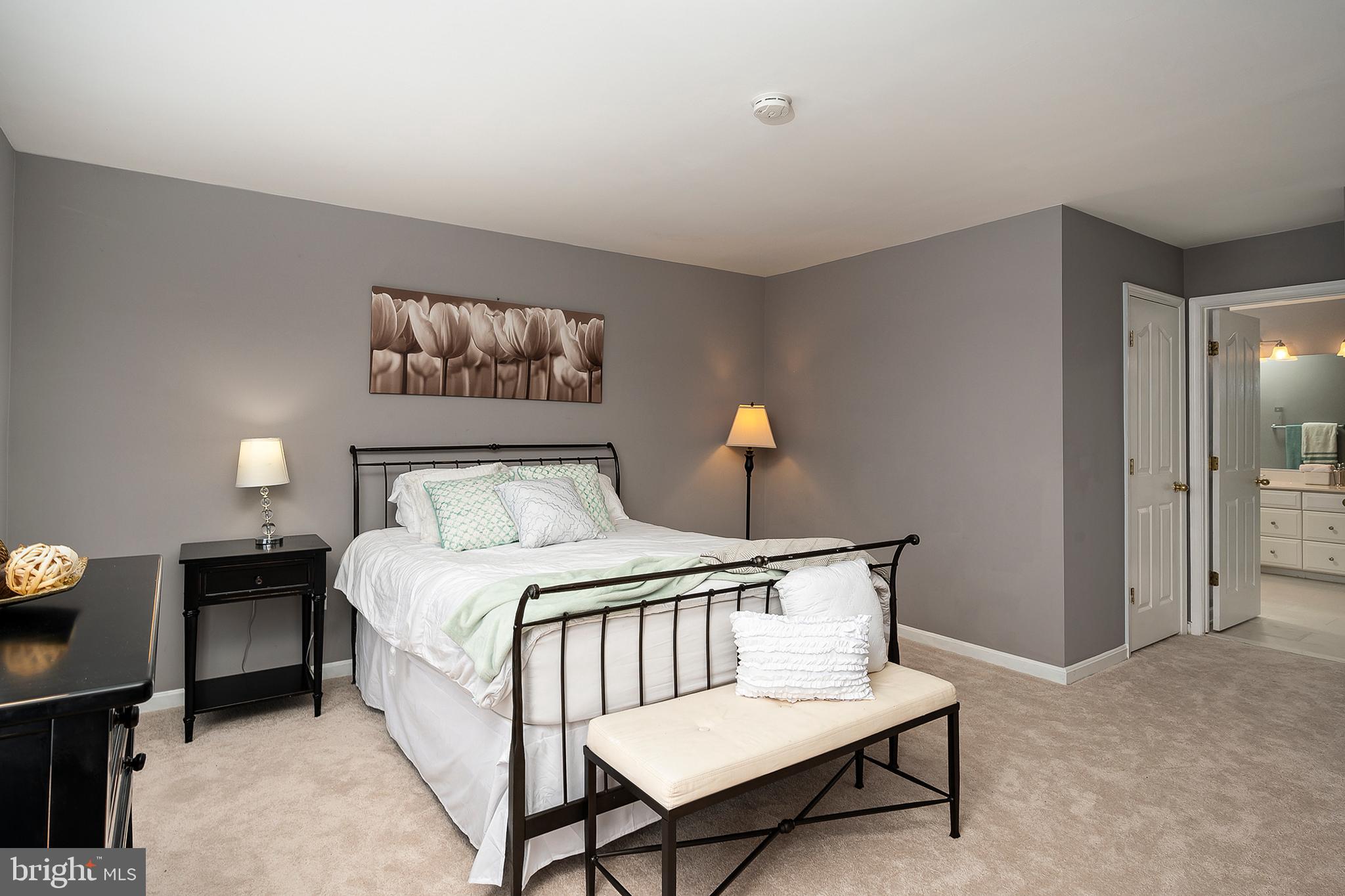 6482 Empty Song Road Columbia, MD 21044 - Photo 16 of 41 Primary Bedroom (alt view)