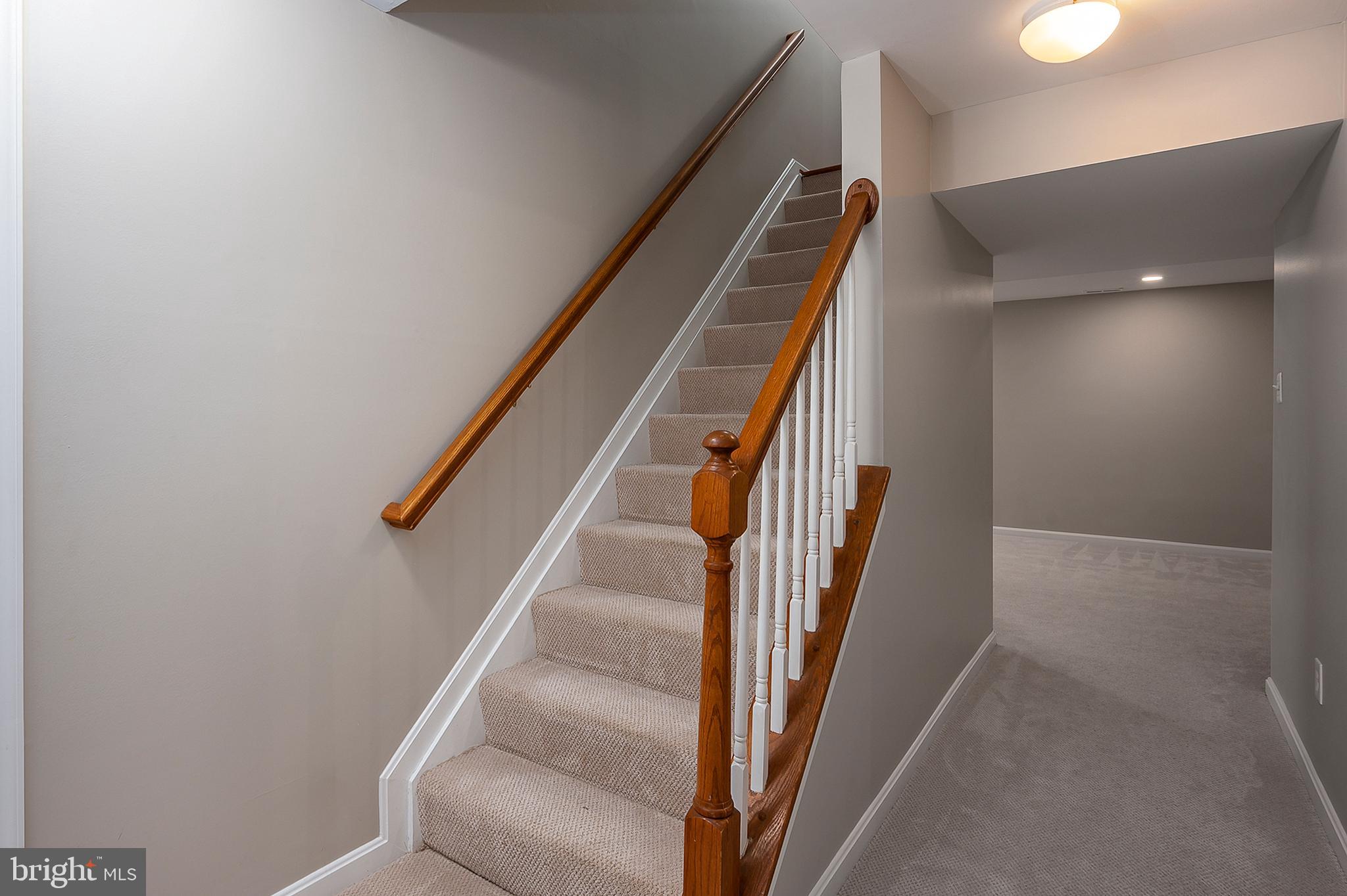 6482 Empty Song Road Columbia, MD 21044 - Photo 26 of 41 Rec Room Entrance