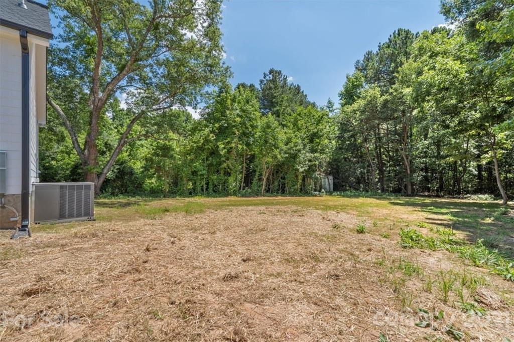 1902 Dunlap Roddey Road Rock Hill, SC 29730 - Photo 36 of 37 a view of a yard with a tree