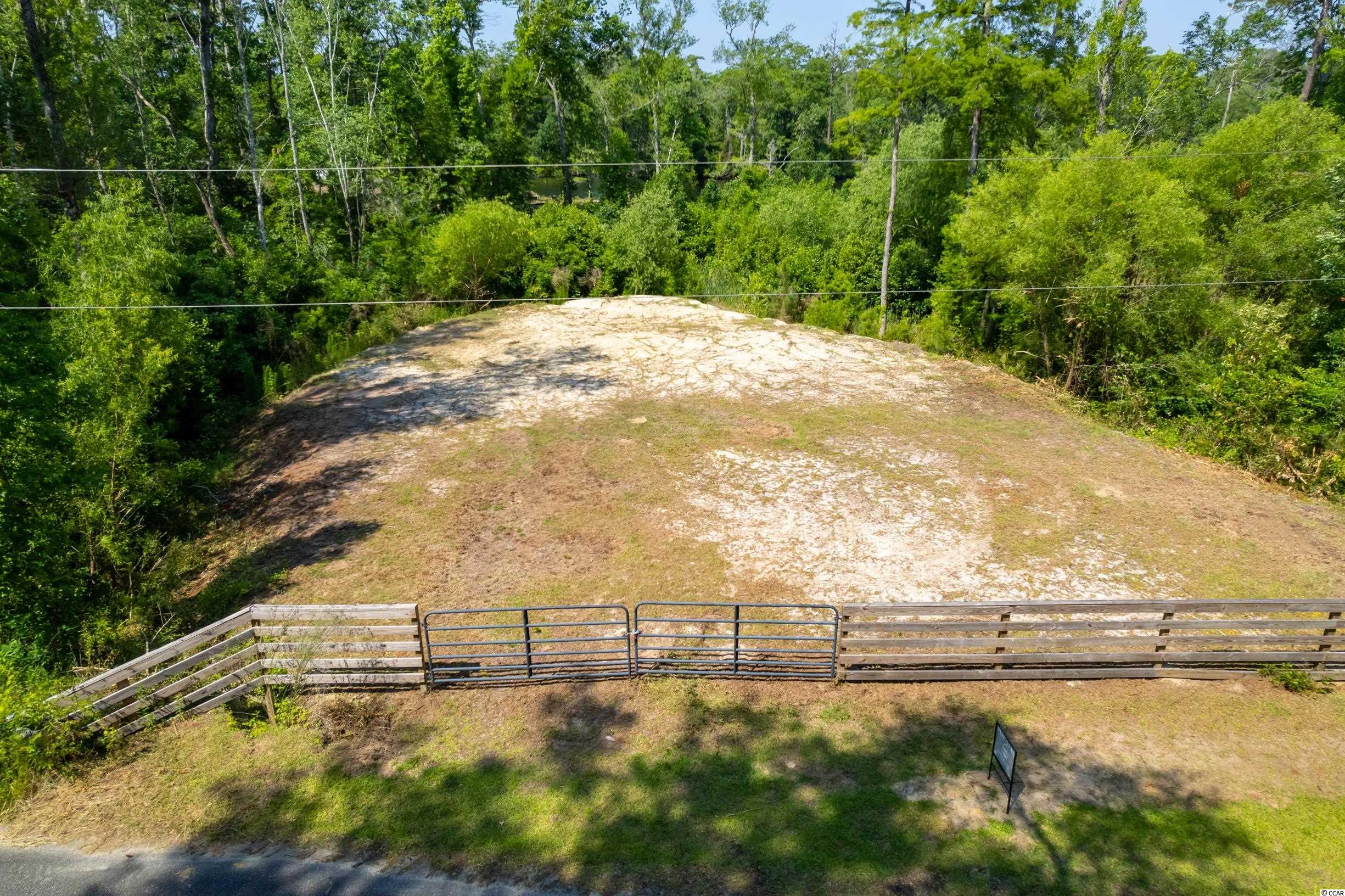 Tbd Francis Marion Drive Georgetown, SC 29440 - Photo 25 of 28