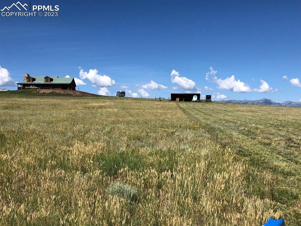 85 Excelsior Road Silver Cliff, CO 81252 - Photo 5 of 27 a room with lots of trees