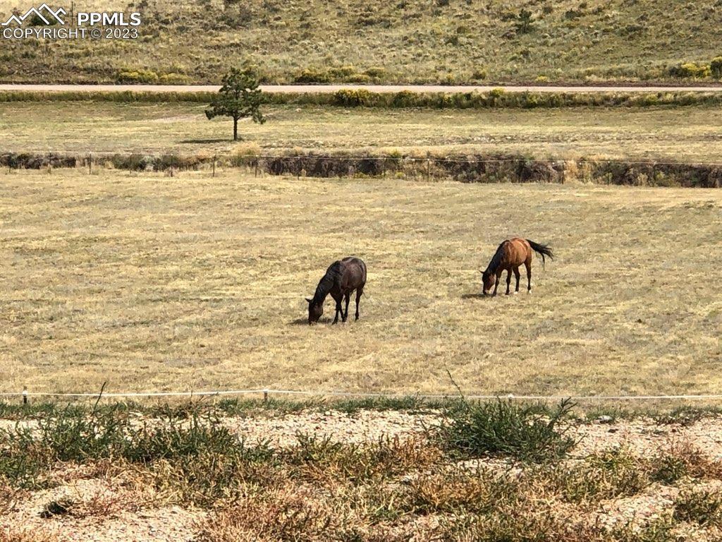 85 Excelsior Road Silver Cliff, CO 81252 - Photo 7 of 27 a view of ocean view