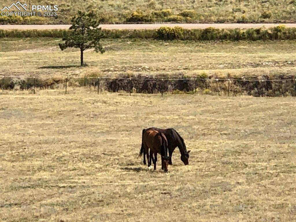 85 Excelsior Road Silver Cliff, CO 81252 - Photo 9 of 27 a view of ocean view