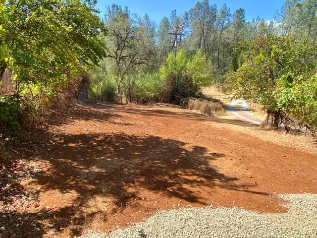 a view of a yard with a tree
