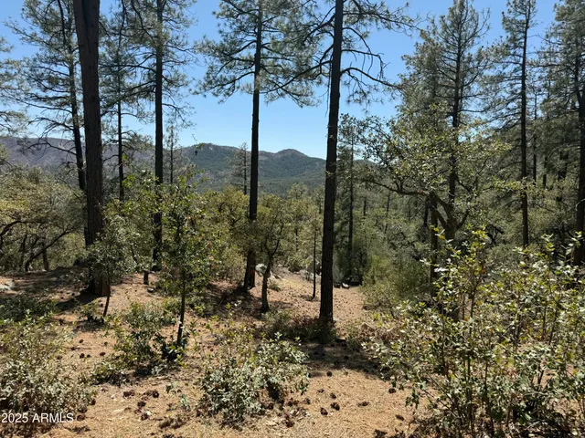 $475,000 | 23106 South Towers Mountain Road, Crown King, AZ 86343