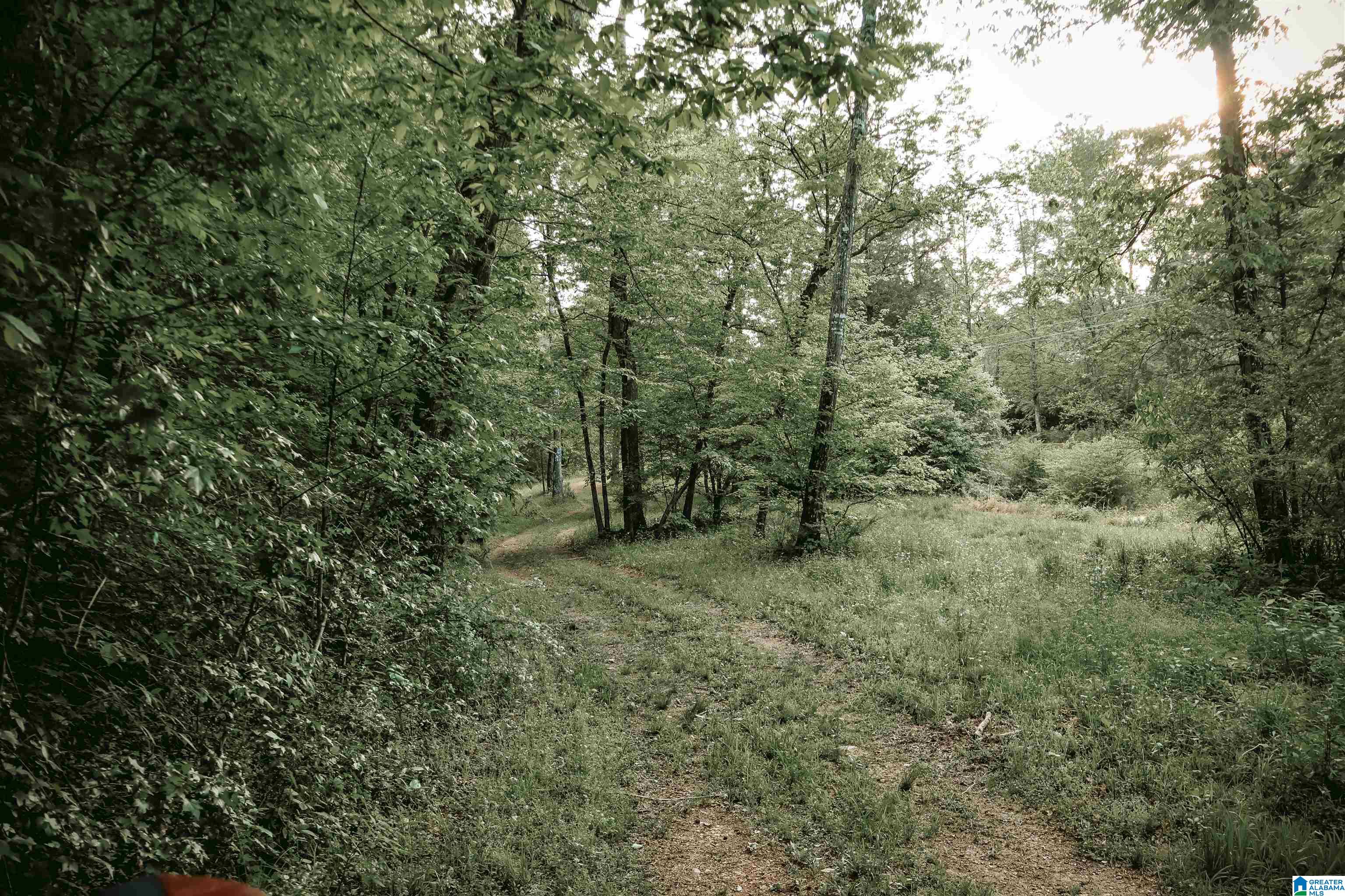 1678 Hays Cemetery Road Hayden, AL 35079 - Photo 70 of 87