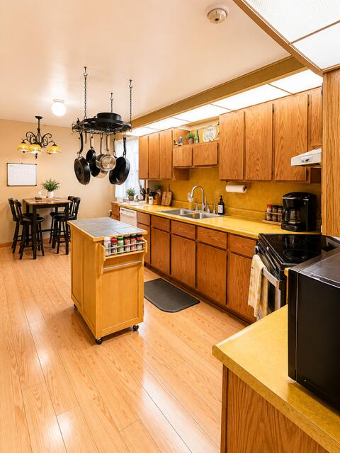 1031 North Newaygo Road Bailey, MI 49303 - Photo 3 of 16 image0 (11)