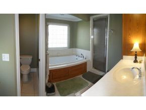 130 Oak Grove Road Greeneville, TN 37745 - Photo 17 of 19 Master Bath