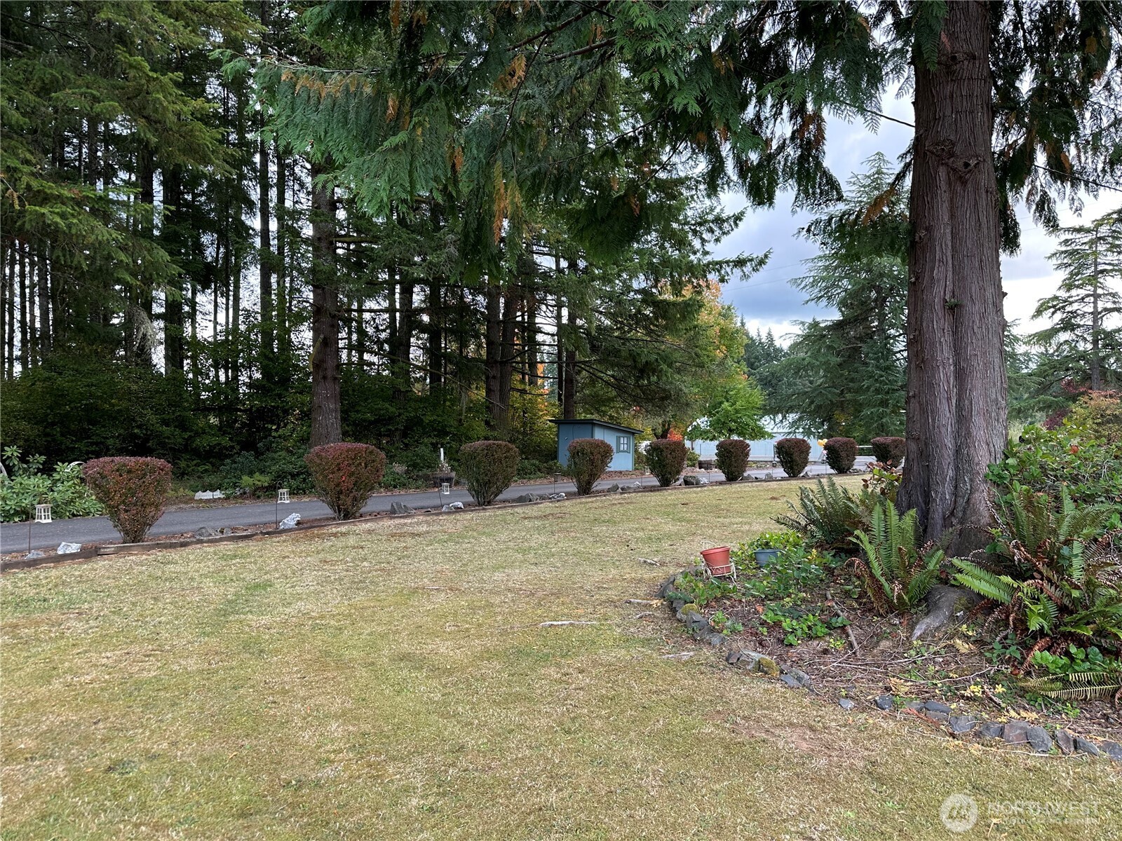 1487 Centralia Alpha Road Chehalis, WA 98532 - Photo 28 of 36 a view of a yard with plants and a slide
