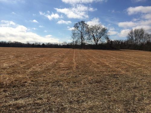 4 Walnut Grove Road Bradford, TN 38316 - Photo 1 of 2 Gallery Image 1