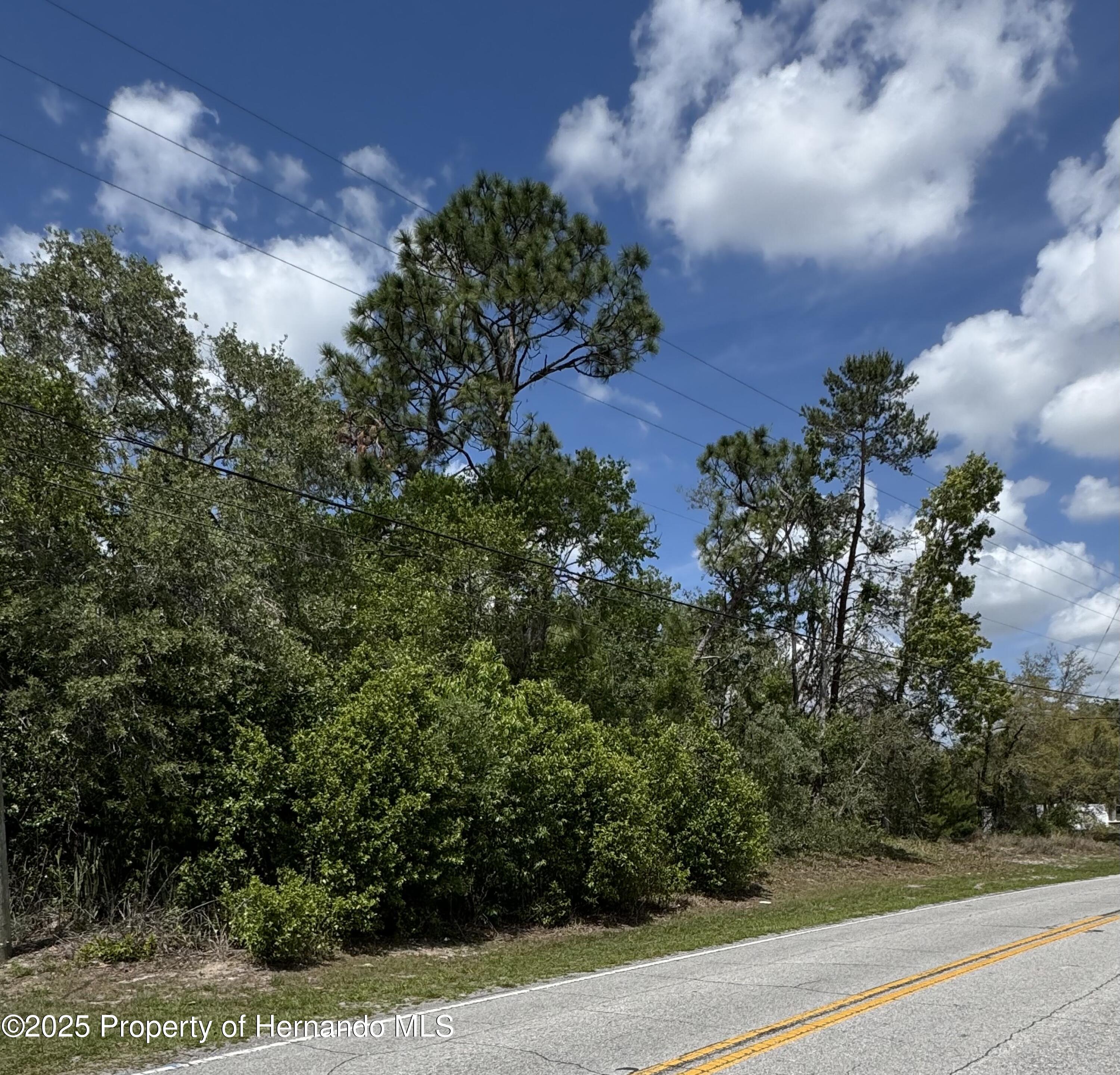 . Waterfall Drive Spring Hill, FL 34608 - Photo 2 of 7 Frontage North