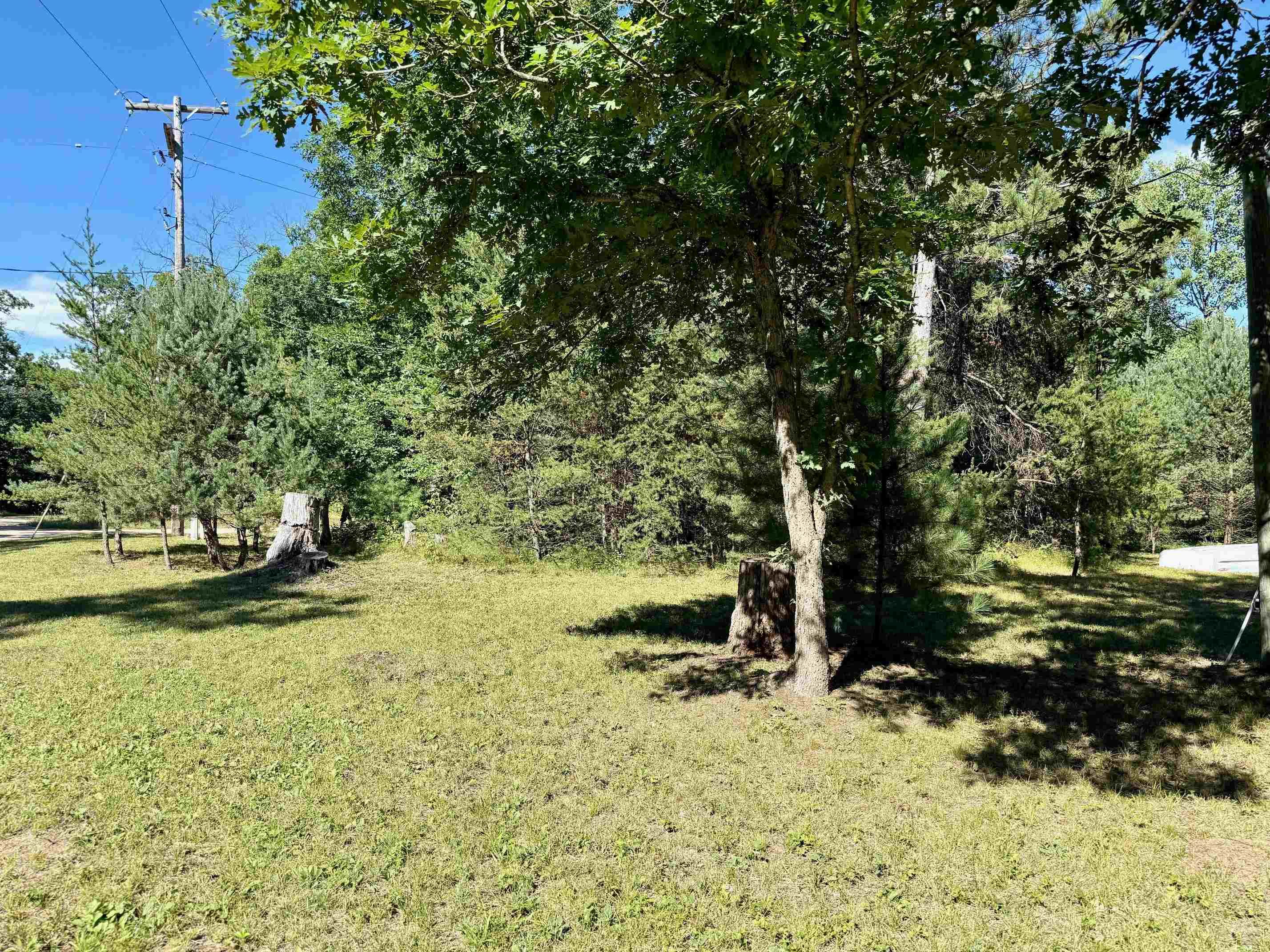 3805 Peacock Road Wellston, MI 49689 - Photo 5 of 6