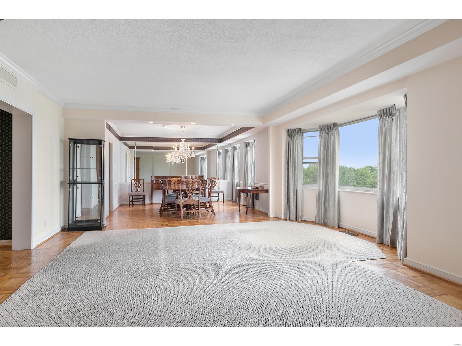 710 South Hanley Road, Unit 12D St. Louis, MO 63105 - Photo 19 of 44