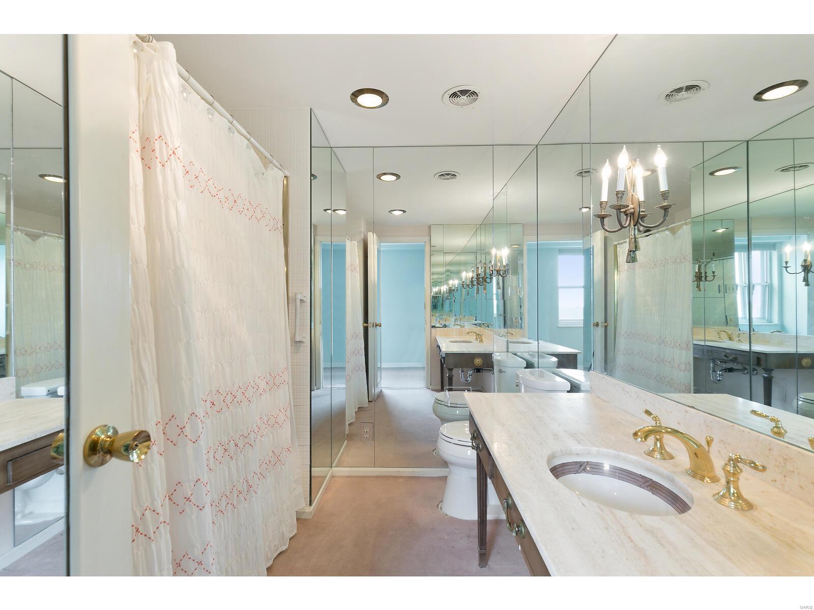 710 South Hanley Road, Unit 12D St. Louis, MO 63105 - Photo 31 of 44