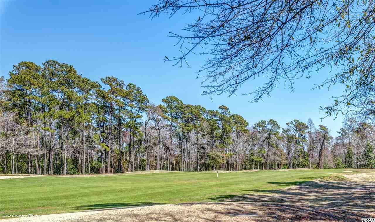 19 Pistachio Loop, Unit 14D Murrells Inlet, SC 29576 - Photo 20 of 28 Gallery Image 20
