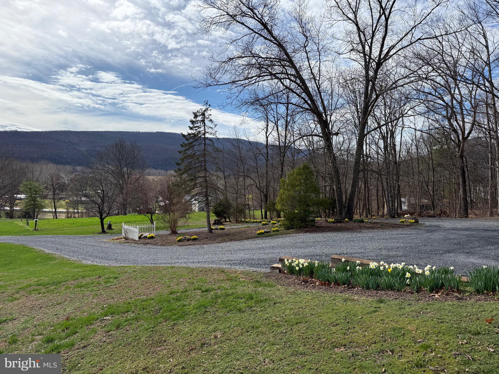 55 Fairfax Corner Road Cabins, WV 26855 - Photo 12 of 91