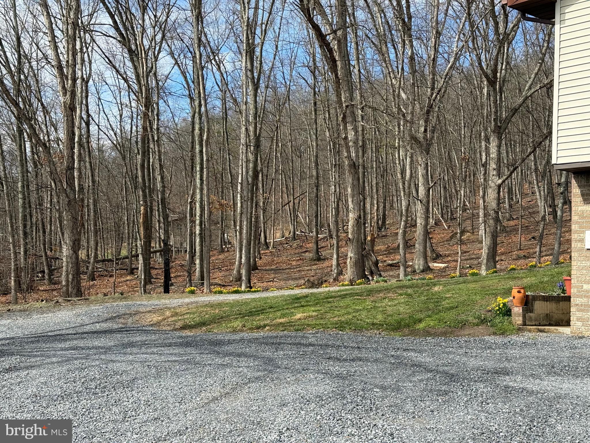 55 Fairfax Corner Road Cabins, WV 26855 - Photo 13 of 91