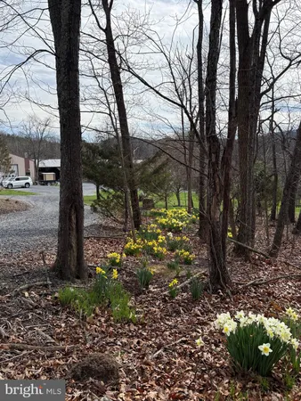 $595,000 | 55 Fairfax Corner Road, Cabins, WV 26855