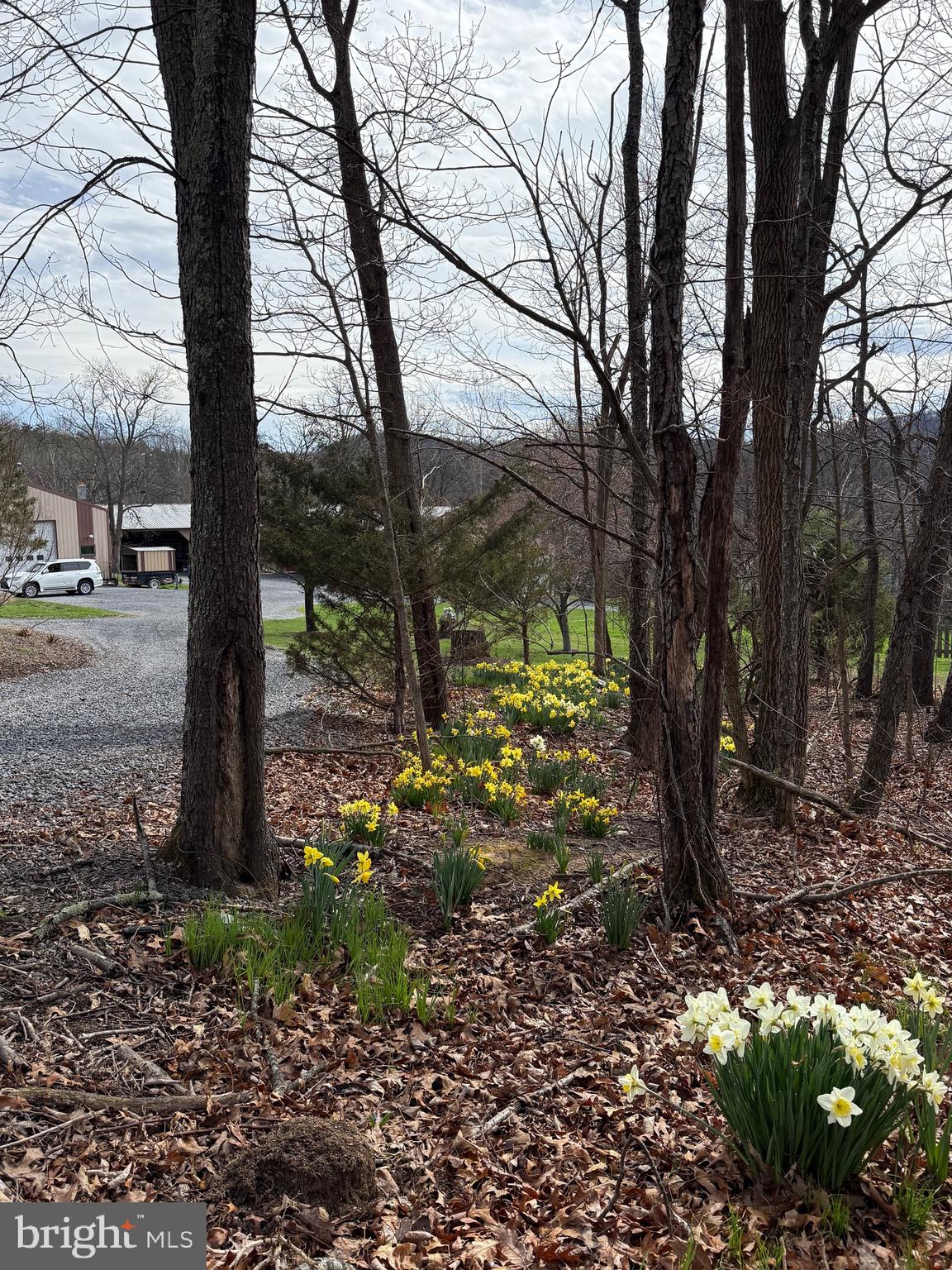 55 Fairfax Corner Road Cabins, WV 26855 - Photo 14 of 91