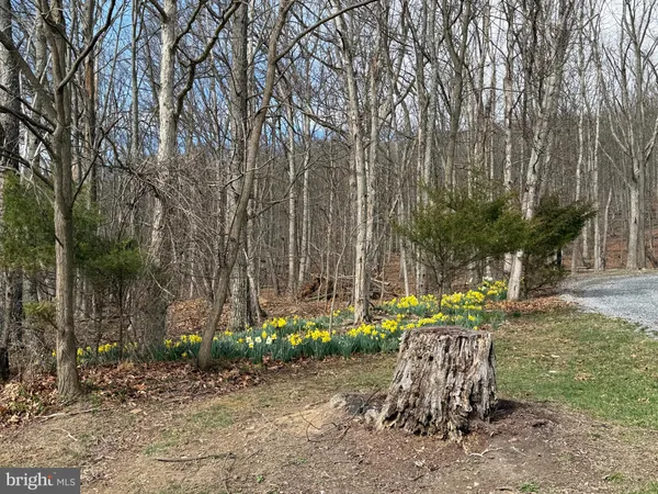 $595,000 | 55 Fairfax Corner Road, Cabins, WV 26855