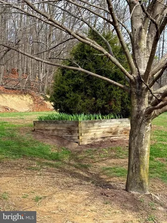 $595,000 | 55 Fairfax Corner Road, Cabins, WV 26855