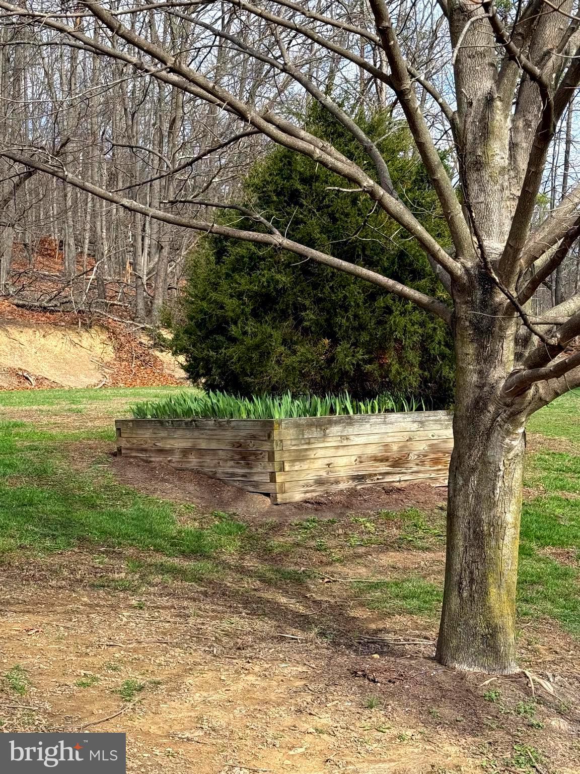 55 Fairfax Corner Road Cabins, WV 26855 - Photo 21 of 91