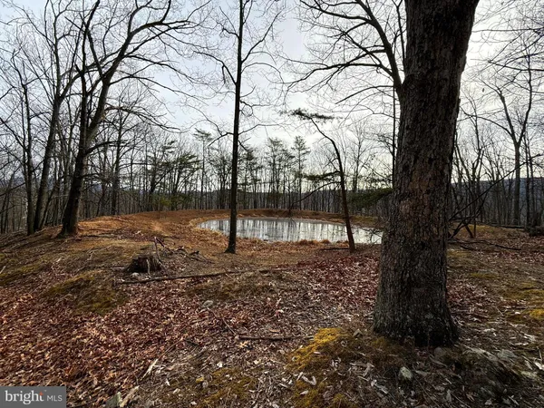 $595,000 | 55 Fairfax Corner Road, Cabins, WV 26855