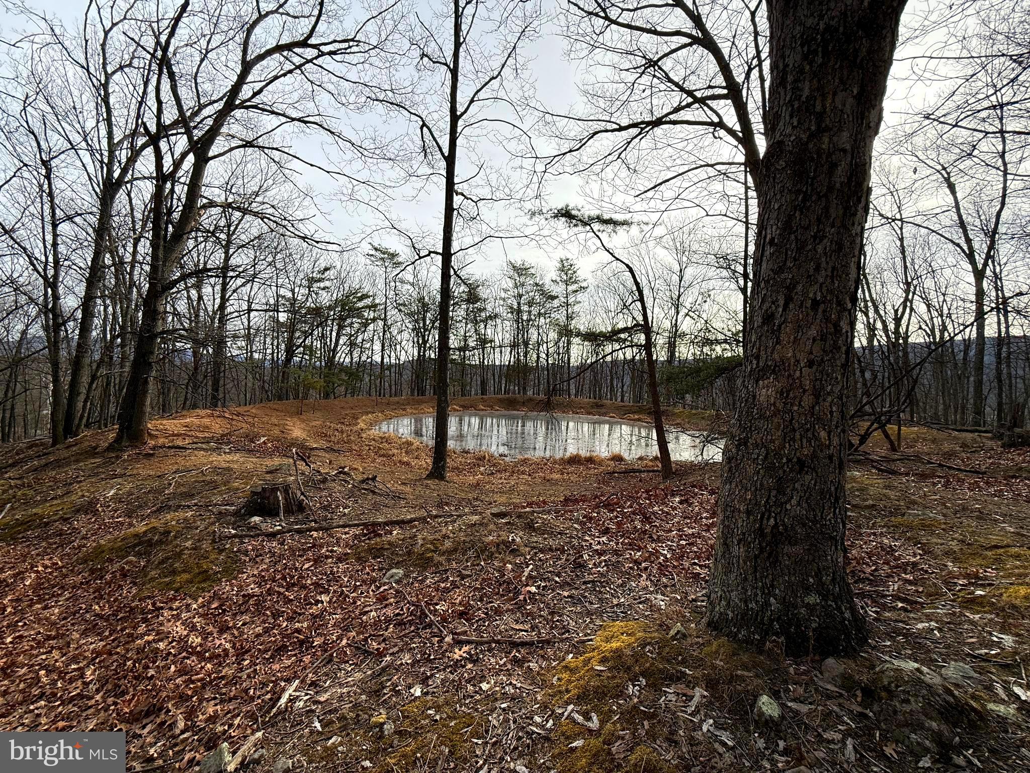 55 Fairfax Corner Road Cabins, WV 26855 - Photo 27 of 91