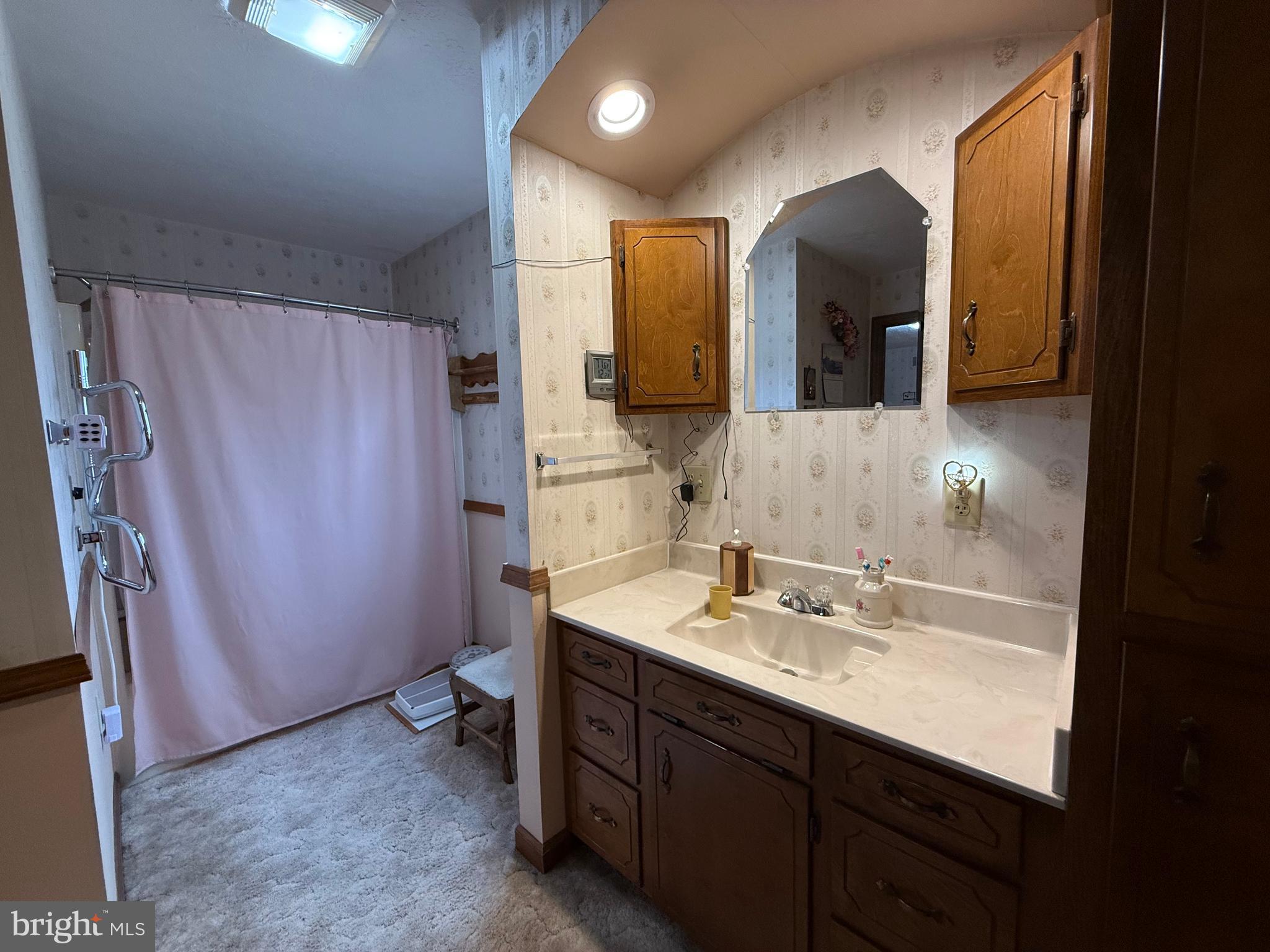 55 Fairfax Corner Road Cabins, WV 26855 - Photo 38 of 91 Primary Bathroom