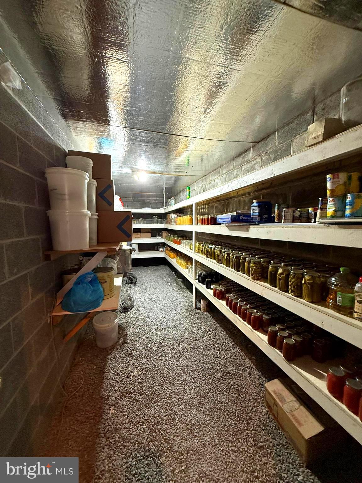 55 Fairfax Corner Road Cabins, WV 26855 - Photo 62 of 91 Canning/Storage Room