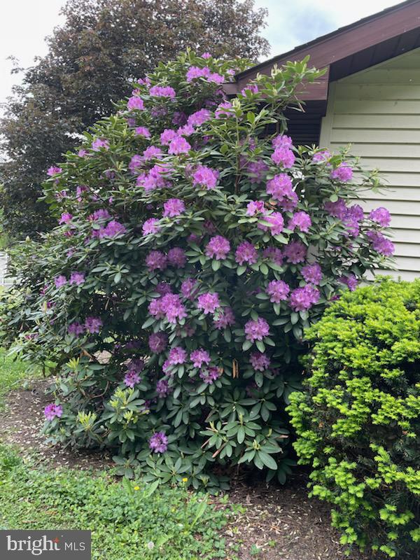 55 Fairfax Corner Road Cabins, WV 26855 - Photo 76 of 91