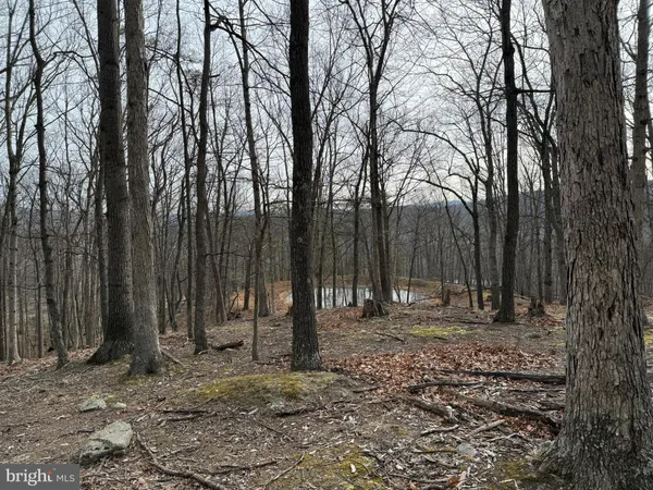 $595,000 | 55 Fairfax Corner Road, Cabins, WV 26855