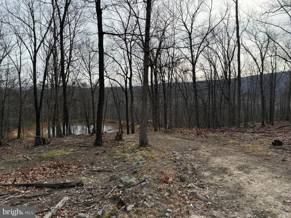 $595,000 | 55 Fairfax Corner Road, Cabins, WV 26855