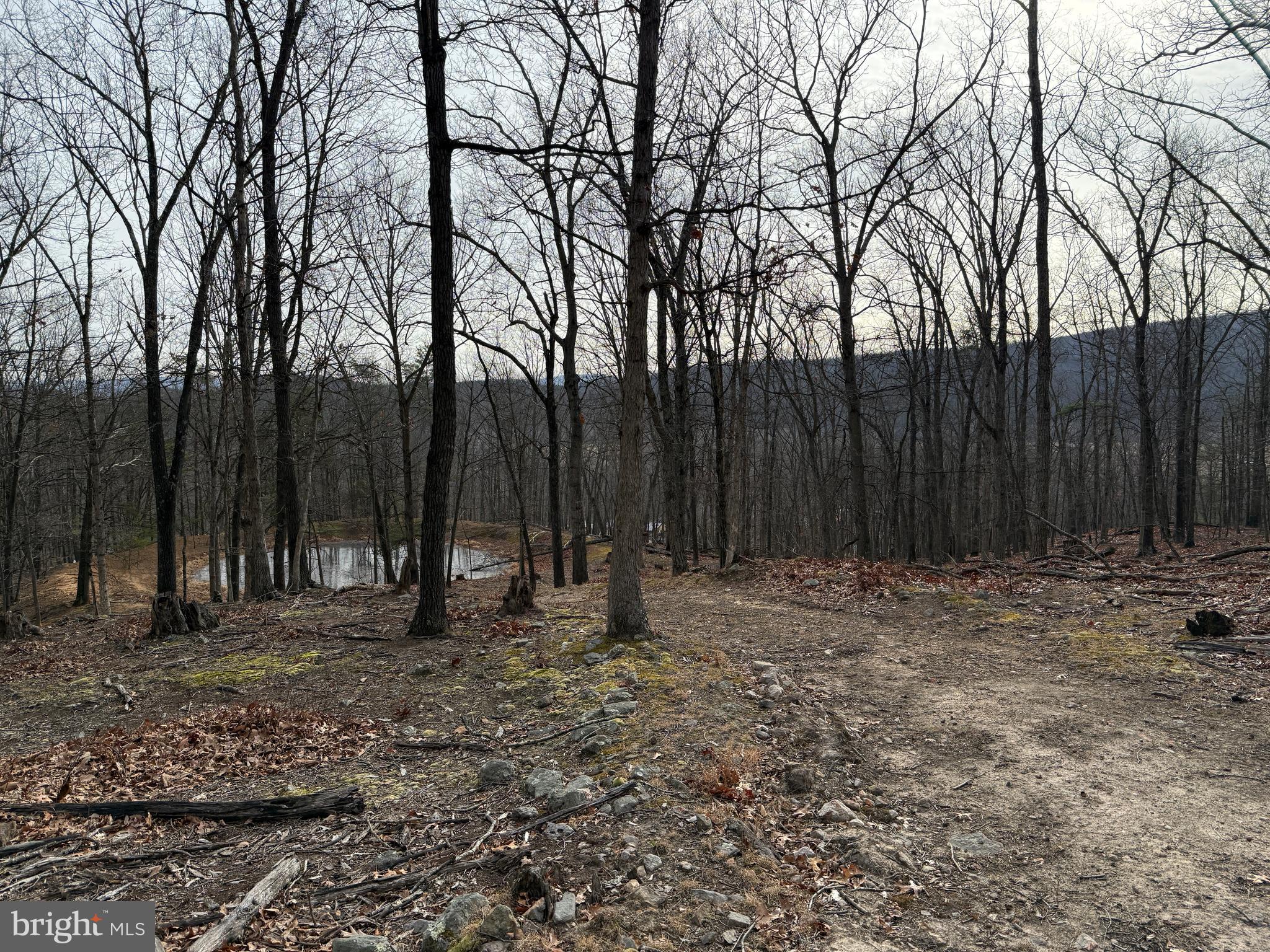 55 Fairfax Corner Road Cabins, WV 26855 - Photo 89 of 91