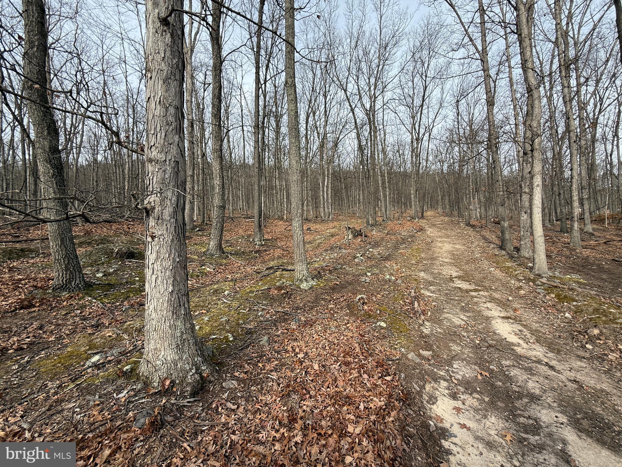 55 Fairfax Corner Road Cabins, WV 26855 - Photo 90 of 91