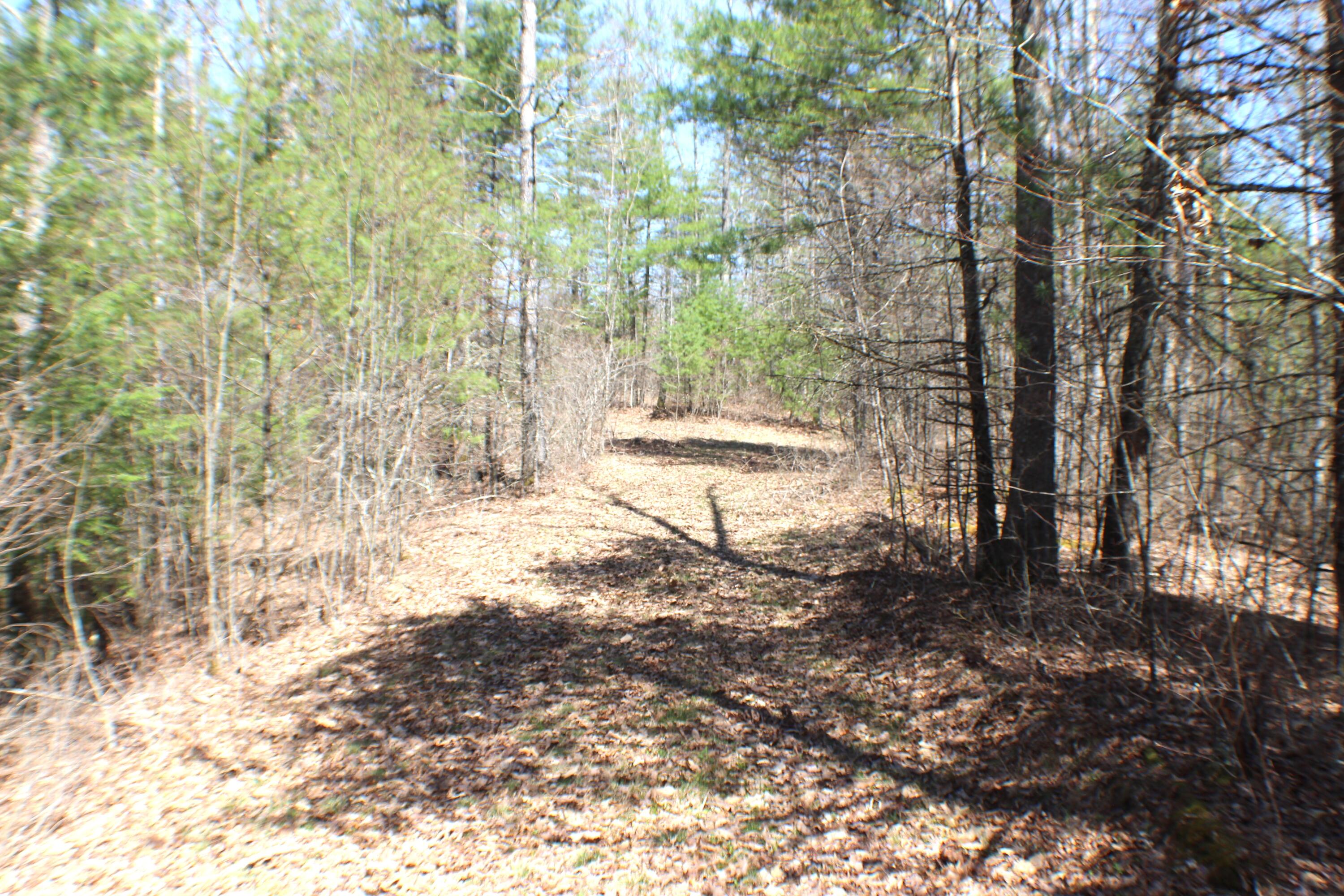 445 Rider Gap Road Marlinton, WV 24954 - Photo 3 of 26 Gallery Image 3