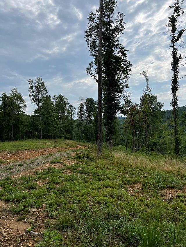 151-a-5b Lambsburg Road Fancy Gap, VA 24328 - Photo 1 of 6 Gallery Image 1