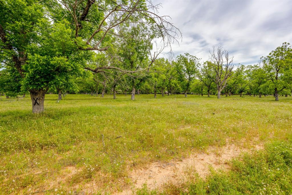 1000 West Landings Road North Granbury, TX 76049 - Photo 18 of 20