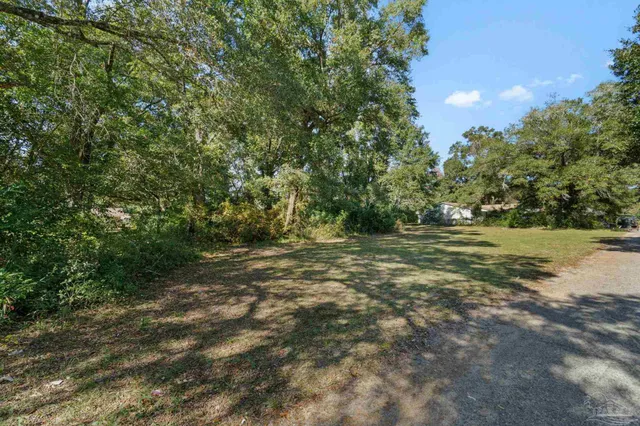 a view of outdoor space with trees all around